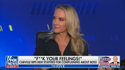 Dana Perino