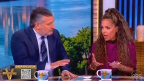 Ted Cruz debating Sunny Hostin on The View