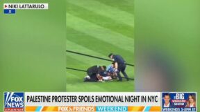 protester being tackled at Yankee Stadium