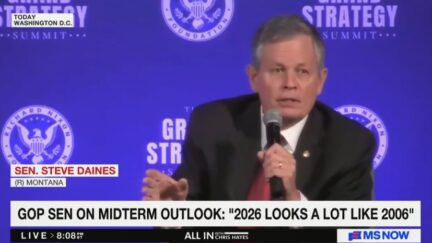 Steve Daines