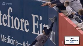 Yankees fan interference